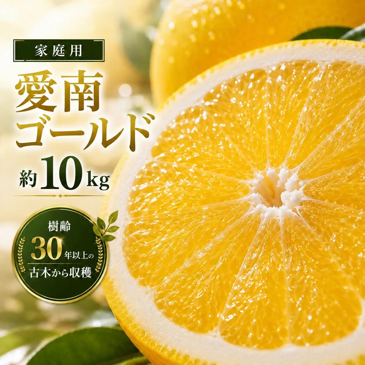 家庭用 先行予約 2027年発送 愛南ゴールド（河内晩柑）約10kg みかん 蜜柑 河内晩柑 グレープフルーツ 柑橘 果物 フルーツ 前田ファーム 愛媛 愛南【発送期間 3月下旬～5月上旬 】(なくなり次第終了)