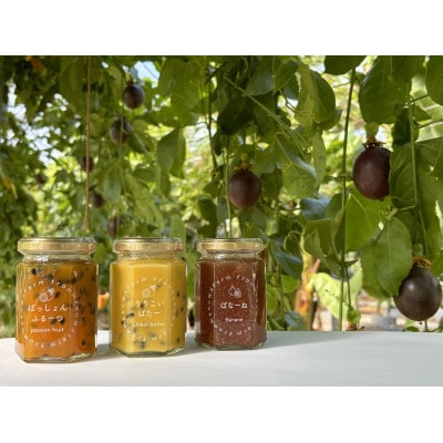 栃木育ちの果実を使ったジャム3種セット (パッションフルーツ、リリコイバター、イチジク(バナーネ))【1491309】
