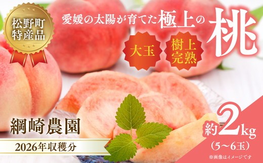 【2026年出荷分先行予約】愛媛の桃どころ 「綱崎農園」から届ける大玉桃 約2kg ｜ ふるさと納税 桃 冷蔵 松野町 フルーツ ギフト ※2026年6月中旬～発送