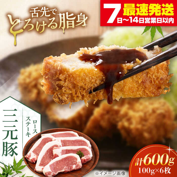 【ふるさと納税】 三元豚 ロースステーキ 6枚 100g/枚 藻塩ナシ 《喜茂別町》【平田牧場】肉 豚肉 ロース ステーキ ステーキ用 とんかつ トンテキ 生姜焼き 冷蔵配送 北海道 平田牧場 おすすめ [AJAP068] 13000 13000円
