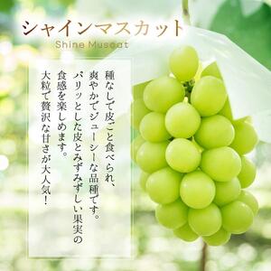 【2025年先行予約】［大原観光果樹園］ピオーネ2房とシャインマスカット2房（計4房 約2kg）［026-a018］