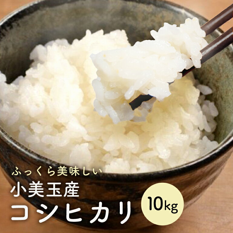 【ふるさと納税】【 令和7年産 】小美玉産 コシヒカリ 10kg こしひかり 米 10キロ お米 白米 国産 ごはん おにぎり 弁当 茨城県 小美玉市 17-K