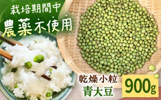 《農薬不使用》乾燥小粒青大豆（品種：黒神）《厚真町》【ekam】 大豆 豆 オーガニック 農薬不使用  有機JAS認証 青大豆 乾燥大豆 北海道 [AXBV001] 7000 7000円