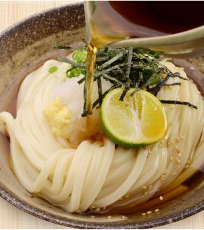 【定期便】本場純生讃岐うどん 10人前つゆ付 年３回発送（1月・5月・9月）【H-47】