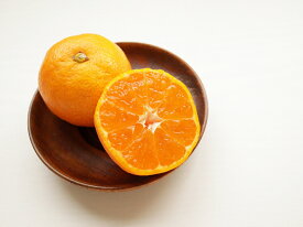 BF6053_2025年先行予約】 ハウスみかん 4パック 【ミカン 蜜柑 柑橘 温州みかん 有田みかん 和歌山】