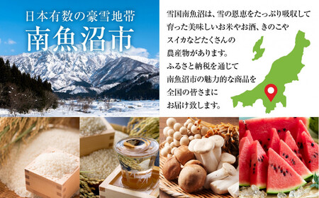 1本は店主のお任せ 南魚沼産酒ガチャ2本セット 竹コース 八海山特別本醸造 お楽しみ 2本 720ml 鶴齢 日本酒 酒 お酒 おさけ さけ おまかせ お任せ 贈答品 プレゼント お祝い 送料無料 新