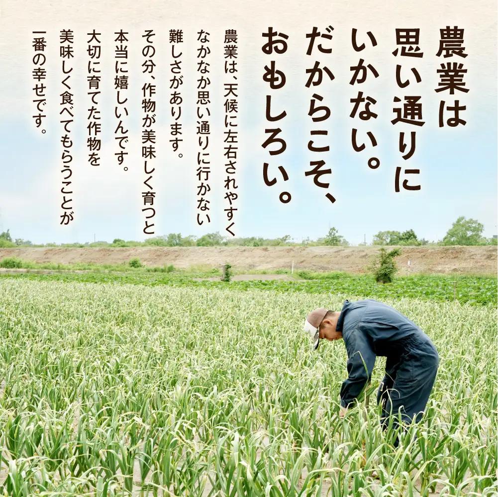 北海道産にんにく（福地ホワイト六片種）1kg にんにく
