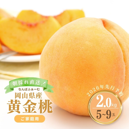 【2026年先行予約】［なんばふぁーむ］岡山県産 黄金桃 2.0kg（5～9玉）［ご家庭用］桃 もも モモ おうごんとう フルーツ 果物  ピーチ 完熟 朝採れ 朝採り 新鮮 旬 食べごろ 食べ頃 岡山産 産地直送 産直 特産 特産品 送料無料 岡山県 鏡野町