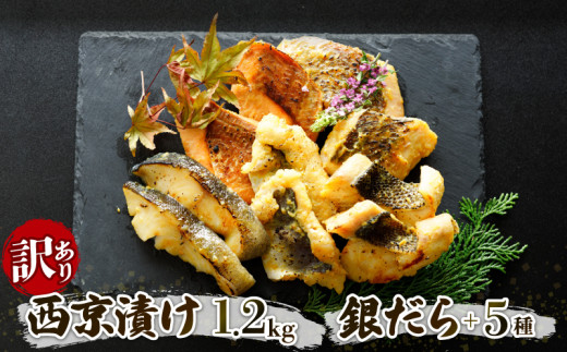 訳あり 西京漬け 1.2kg 6種セット | 銀ダラ 銀鱈 銀だら 鯛 鮭 サーモン 鯖 サバ 食べ比べ 冷凍 小分け 魚 惣菜 簡単調理 西京漬 味噌漬け 西京焼 西京焼き おかず ご飯のお供 おつまみ 家庭用 訳アリ 切り落とし 人気 おすすめ グルメ ギフト 保存食 魚介 海鮮 愛媛県 松山市