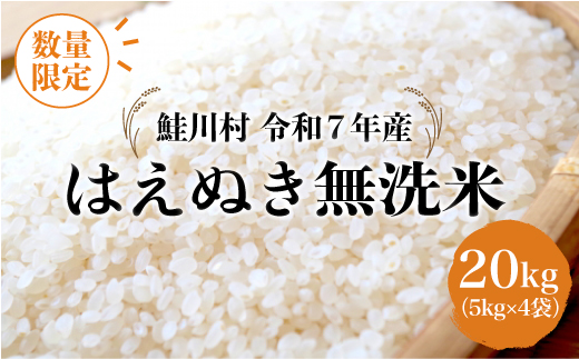 ◇数量限定品◇ 令和8年6月中旬発送 ＜令和7年産＞ はえぬき 【無洗米】 20kg （5kg×4袋）鮭川村