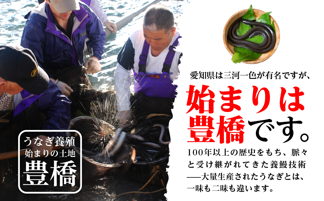 極上 豊橋うなぎ 蒲焼 2尾 ~300g 夏目商店