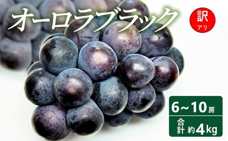 オーロラブラック 訳あり 岡山県産 オーロラブラック【約4kg 6〜10房】【常温】【先行予約】