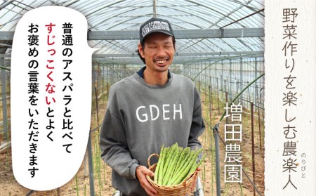【生で食べられる】スイート アスパラ L～3L 約 1.5kg 増田農園 アスパラガス 甘い / 南島原市 / 贅沢宝庫[SDZ014]