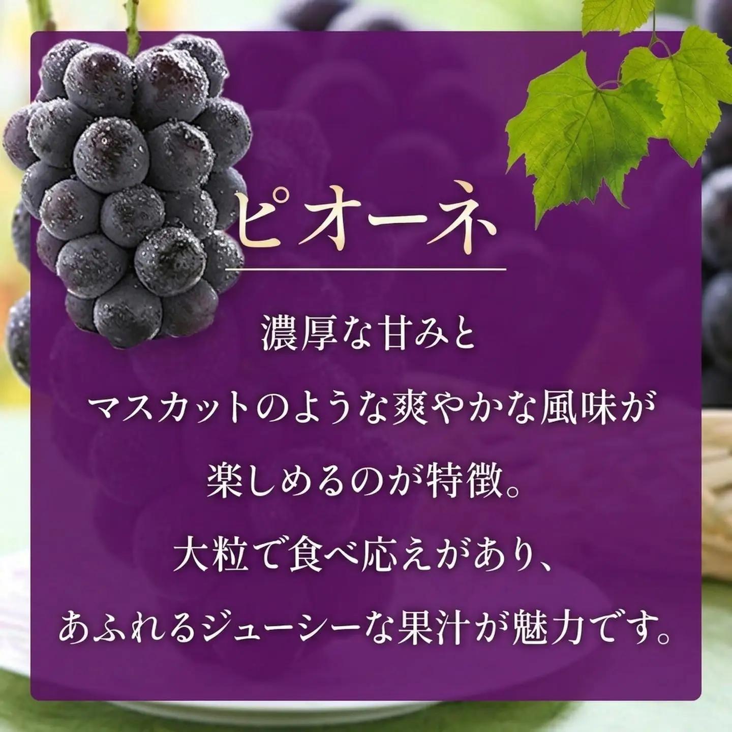 ぶどう ピオーネ 約2㎏ ぶどう