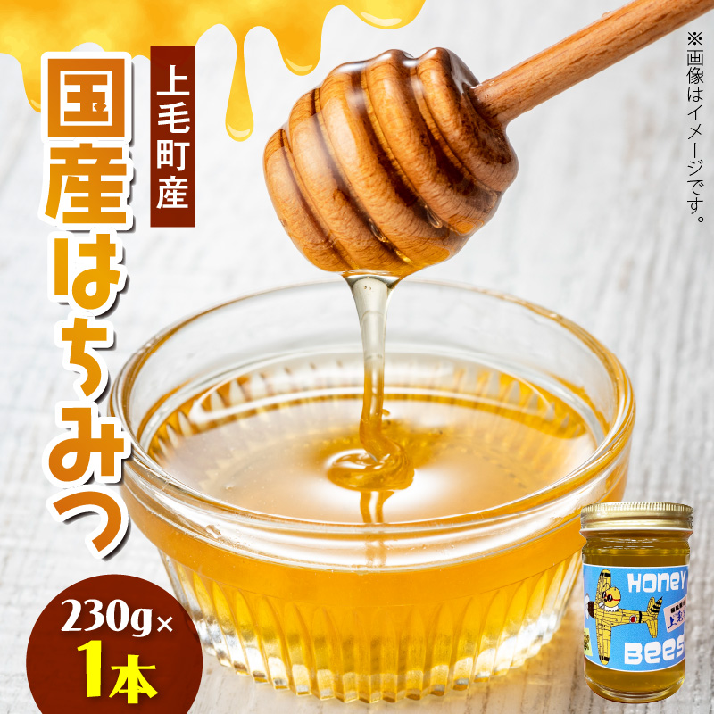 国産はちみつ（上毛町産）230g×1本 T07806