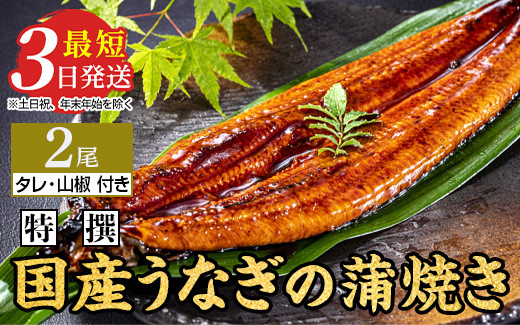 
                  【最短3日発送】 特撰 国産うなぎの蒲焼き 2尾（140g～150g×2尾） ｜ 鰻 ウナギ 蒲焼 国産 ブランド鰻 手焼き こだわり タレ 山椒付き 冷蔵 レンジ 簡単調理 うな重 うな丼 ひつまぶし おかず 惣菜 ご飯のお供 おつまみ 土用丑の日 茨城県 土浦市
                
