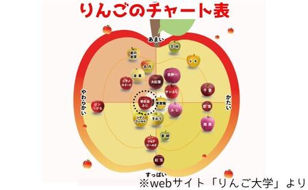 りんご早生ふじ贈答用 青森県産 りんご【約3kg】【9・10月発送】