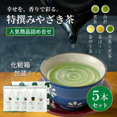 ふるさと納税 日向市 特撰みやざき茶　5本セット