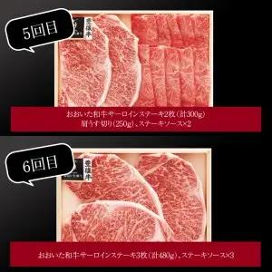 【定期便】大分県産黒毛和牛（おおいた和牛）バラエティ定期便 毎月6回お届け A01082