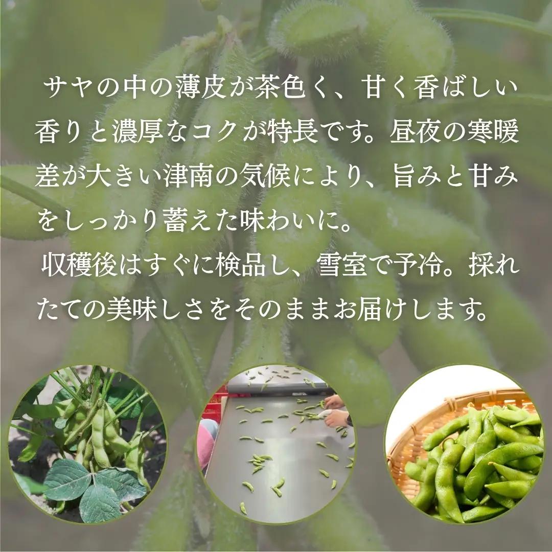 枝豆 高原茶豆 1kg（200g×5袋）雪室予冷 | 津南町