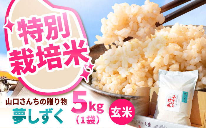 【令和7年産】 特別栽培米 夢しずく（玄米） 5kg 【y'scompany】 米 5kg 特A 特A評価  玄米  佐賀県産 国産米 コメ こめ お米 ブランド米 おにぎり ゆめしずく 九州 佐賀県 白石町 人気 おすすめ 令和8年発送[IAS023]