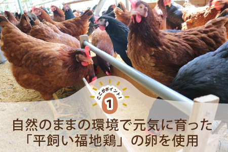 にわとり農家の卵プリン 【ノーマル × かぼちゃ】 MIXセット 計12個 (2種 × 6個) ～無添加素材にこだわった濃厚プリン～ 【たまごプリン かぼちゃプリン ぷりん 卵 洋菓子 おかし お菓子