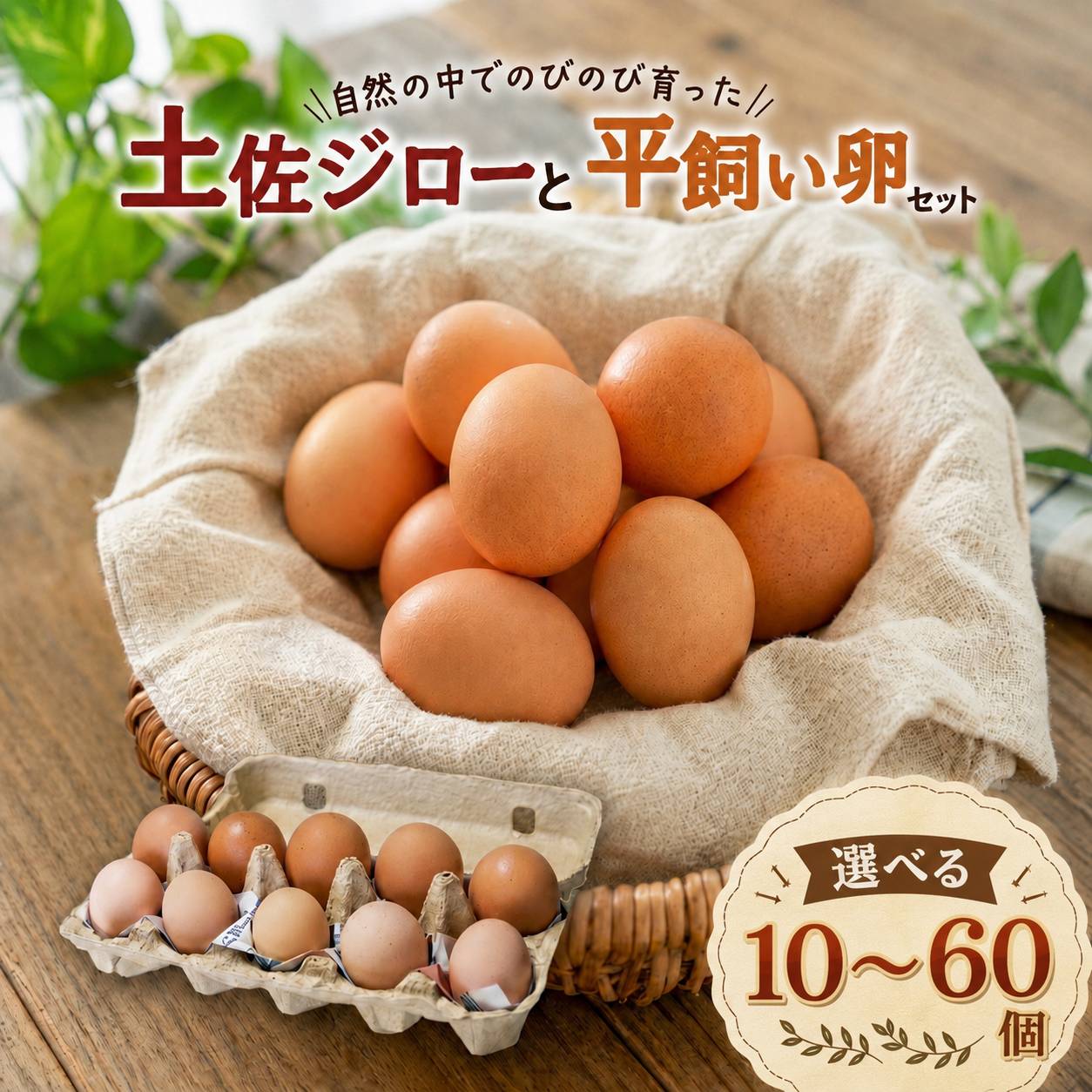 【ふるさと納税】 土佐ジローの卵と平飼い卵 セット | 新鮮 土佐ジロー 平飼い 卵 たまご 鶏卵 卵黄 エッグ たまごかけ ご飯 玉子 タマゴ 玉子焼き たまご焼き すき焼き 鶏 ケーキ セット 2種 食べ比べ 選べる 10個 20個 40個 60個 産地直送 国産 ふるさと納税 高知県 南国市
