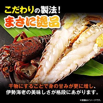伊勢海老の干物200g×2尾【配送不可地域：離島】