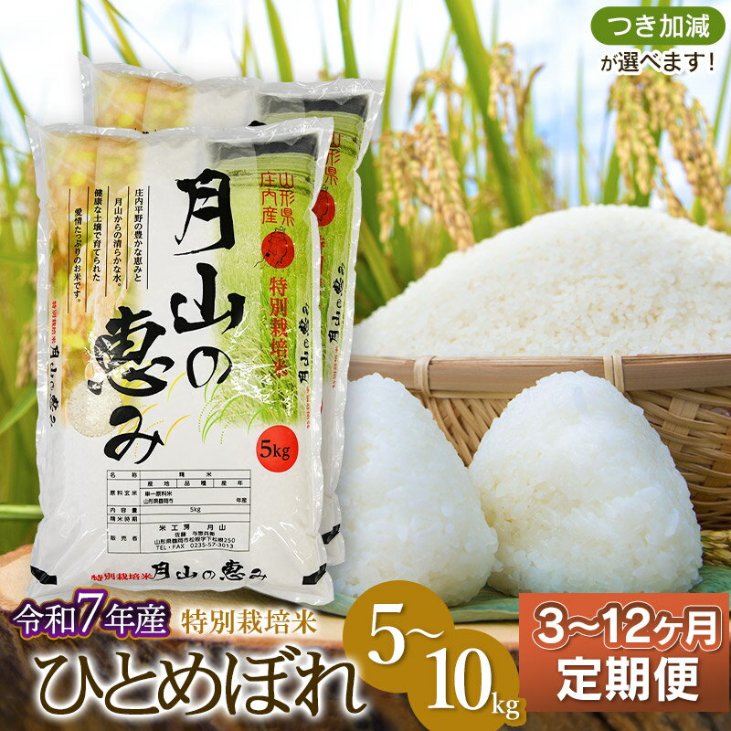 【ふるさと納税】令和7年産定期便　特別栽培米 ひとめぼれ 選べる容量（5kg・10kg）・発送回数（3・6・12回） 毎月1回中旬発送 | 山形県 鶴岡市 無洗米 白米 ブランド米 特産品 お取り寄せ お米 おこめ