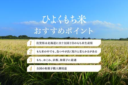 令和5年産 佐賀県産ひよくもち米10kg 【もち米 餅米 ヒヨクモチ 10kg 年末 餅つき 赤飯 おこわ おはぎ】(H015157)