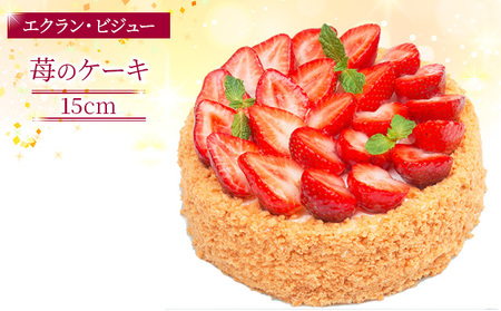 エクラン・ビジュー「苺のケーキ」 お菓子 タルト 宝石箱 フルーツ 新鮮 美味しい カスタードクリーム 手作業 安心 しっとり 