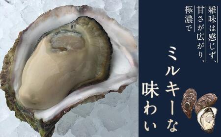 長崎県五島列島産【超極濃プレミアム】岩牡蠣10個入（1個150g～250g×10） 【牡蠣 カキ 岩ガキ 岩牡蠣 かき 海鮮 魚介 魚介類 お取り寄せ 人気 おすすめ 長崎】