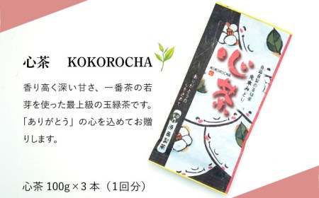 【全6回定期便】日本茶アワード受賞 玉緑茶 「心茶 鬼木みどり」 3本セット【原田製茶】 [GA22] 