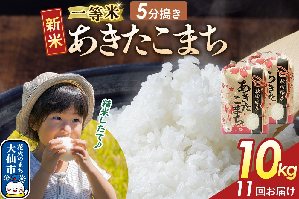 《新米》 《定期便11ヶ月》【5分搗き】あきたこまち 一等米 10kg（5kg×2） 秋田県産 令和8年産 こまちライン 秋田県 大仙市産 [秋田 お米 米どころ あきたこまち こまちライン]