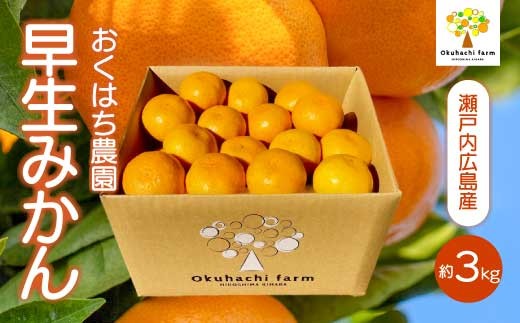 
                  早生みかん 3kg 《2026年11月中旬～下旬発送予定》栽培期間中 防腐剤 ワックス 不使用 おくはち農園 旬 柑橘 かんきつ フルーツ 果物 瀬戸内 166001
                
