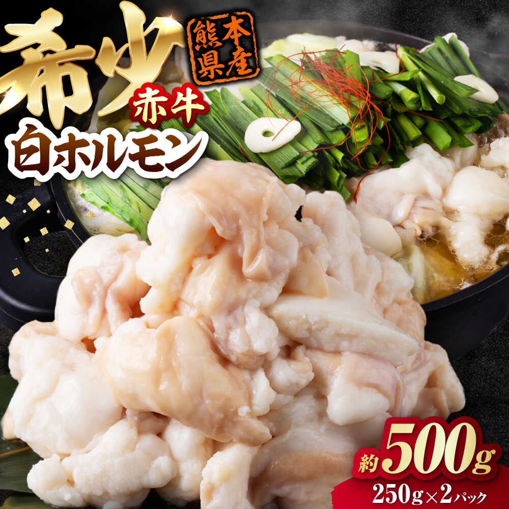 【ふるさと納税】赤牛 ホルモン 500g（250g×2パック） / お肉 肉 牛肉 あか牛 小腸 シロホルモン もつ 熊本県産 冷凍【五右衛門フーズ熊本店】[AYBV040]