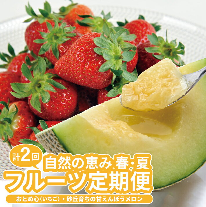 【ふるさと納税】≪2回定期便≫ 自然の恵み 春・夏フルーツ定期便2026 4月下旬〜5月下旬「おとめ心(いちご)」 6月下旬〜7月中旬「砂丘育ちの甘えんぼう(青肉メロン)」 計2回 山形県酒田産 ※着日指定・離島発送不可 頒布会 苺 イチゴ メロン