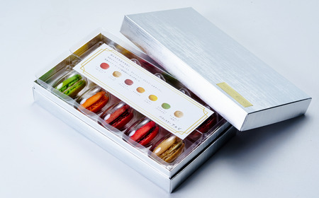 パティスリーアルビ　マカロン詰め合わせ(10個入り) | マカロン