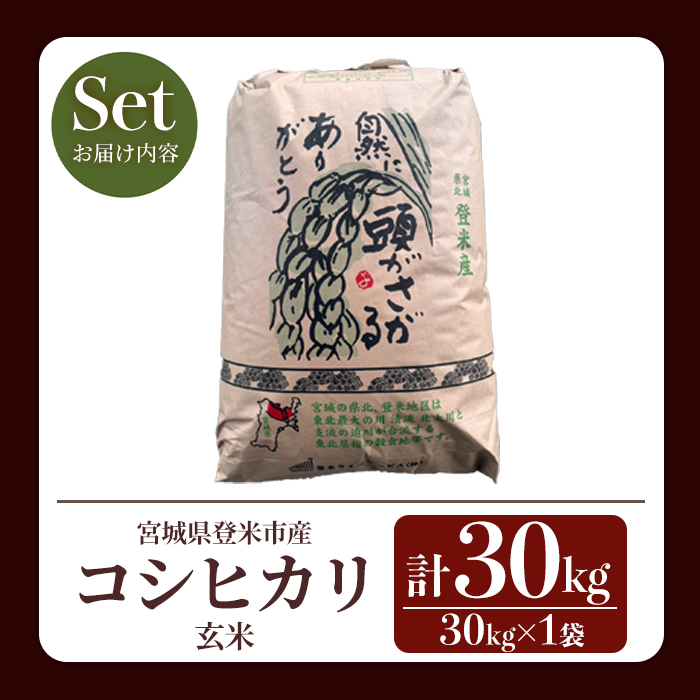 【14営業日以内に発送予定】≪令和7年産≫ コシヒカリ 玄米 30kg×1袋 登米市産 お米 おこめ 米 コメ こしひかり ご飯 ごはん おにぎり お弁当 【登米ライスサービス株式会社】tm726