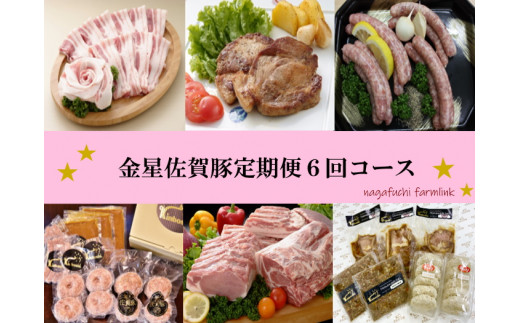 金星佐賀豚　定期便6回コース