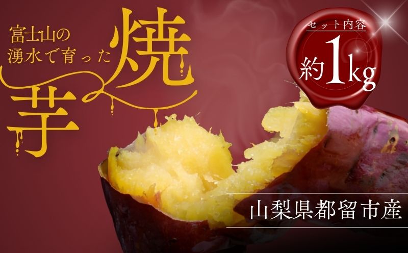 富士山の湧水で育った焼きいも　:さつまいも サツマイモ プレゼント 贈り物 ギフト  お取り寄せスイーツ スイーツギフト