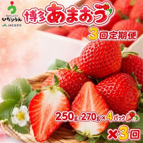 【発送月固定定期便】博多あまおう 250g-270g×4パック(岡垣町)全3回【配送不可地域：離島】【4067771】