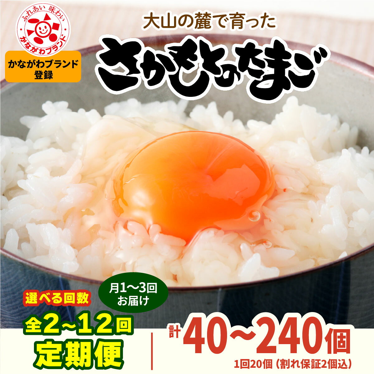【ふるさと納税】[定期便 選べる回数：1ヶ月・6ヶ月・12ヶ月／月1回・月2回・月3回] さかもとのたまご [20個 (18個＋割れ保証2個) 合計40個or60個or120個or240個]｜坂本養鶏 大山の麓で育ったさかもとのたまご 赤玉卵 玉子 鶏卵 伊勢原市 赤玉卵 玉子 生卵 [1330-1336]