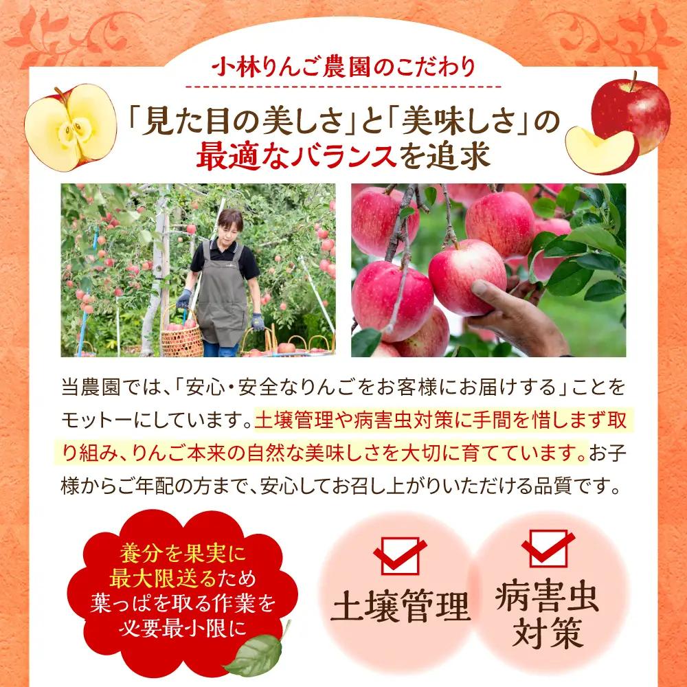 ぐんま名月　【先行受付】 りんご 約3kg訳あり 青森県五所川原市 11月中旬以降発送 ぐんま名月