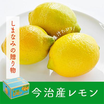 ふるさと納税 今治市 【先行受付】レモン 10kg　国産 きれい おいしい KC00790