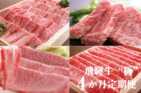 飛騨牛"極" 4か月 定期便 焼肉/しゃぶしゃぶ/ステーキ/すき焼き 飛騨牛 肉 和牛 定期便[Q107]