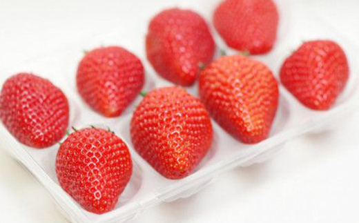 【2026年発送　先行受付】静岡県産いちご「厳選紅ほっぺ」4パック　約1.2kg【配送不可地域：離島・北海道・沖縄県・東北・中国・四国・九州】