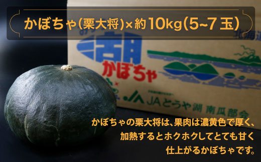【先行予約】北海道 豊浦町 かぼちゃ 栗大将 約10kg 5～7玉（2025年9月の収穫後より順次発送） TYUL003