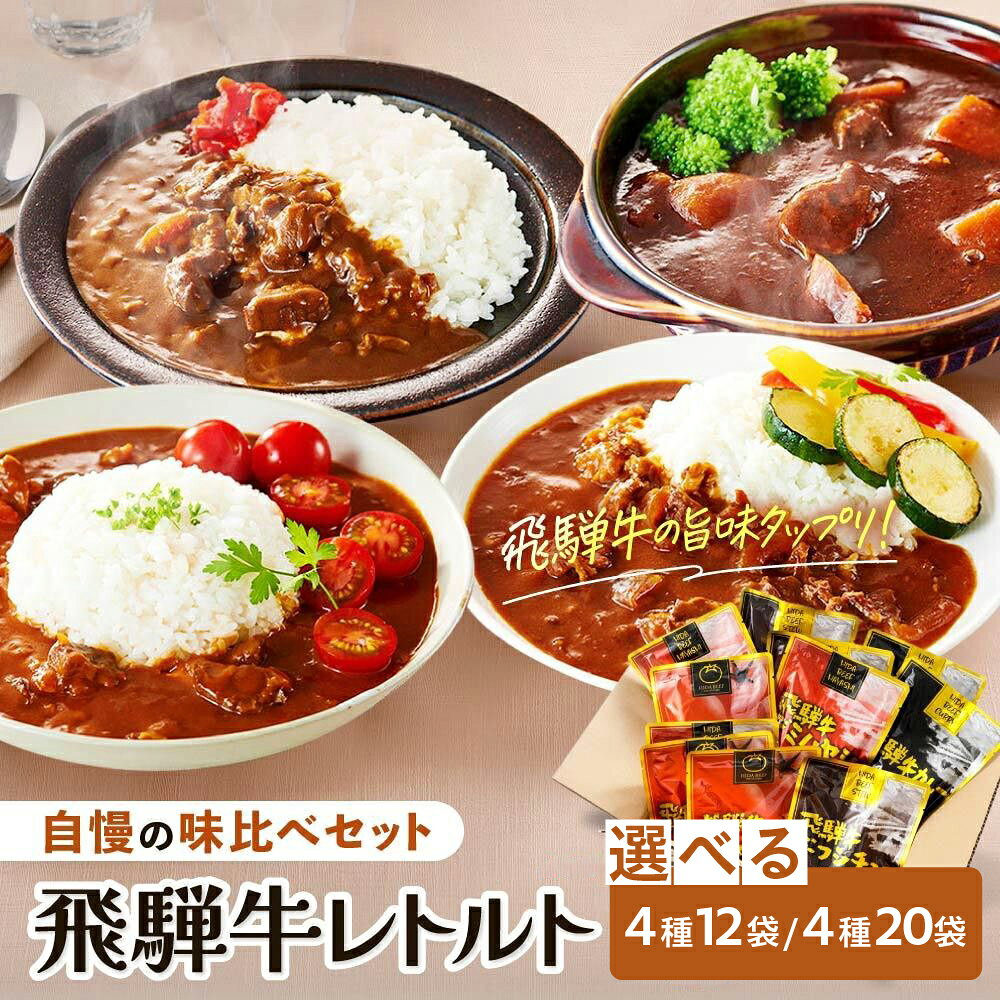【ふるさと納税】訳あり 飛騨牛レトルト4種12袋 20袋| 常温配送 飛騨牛 肉 牛 カレー ビーフカレー トマトカレー ビーフシチュー デミハヤシ 簡易包装 レトルトカレー レトルトごはん レトルト食品 レトルト常温 人気 ランキング 便利 ふるさと清見21 DC002VP