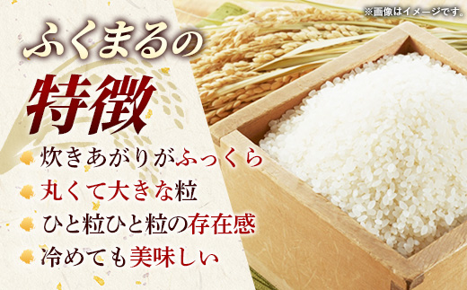 【新米先行予約】 令和8年産 茨城県産 ふくまる 20kg（5kg×4袋） ／ 新米 先行受付 先行予約 2026年 米 お米 精米 特A米 特A 特A評価 旨味 安心 美味しい 茨城県 五霞町 20